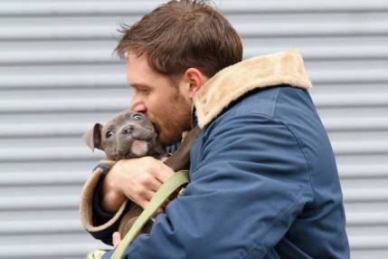 Le premier, le deuxième et le dernier sont ses chiens. Les autres sont des rencontres au hasard de la vie. Des histoires d'un soir, une semaine, un mois, mais non moins significative. Tom garde un souvenir impérissable de chaque pitou qui a passé entre ses bras.