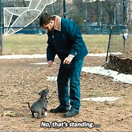 tumblr_nontb9hag31qj2x48o2_400